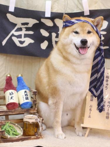 20240626こまくん